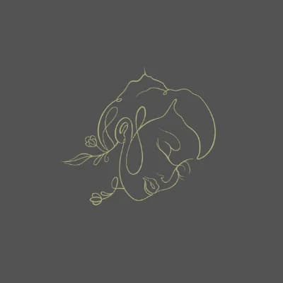 Logo de Les dames des Dômes